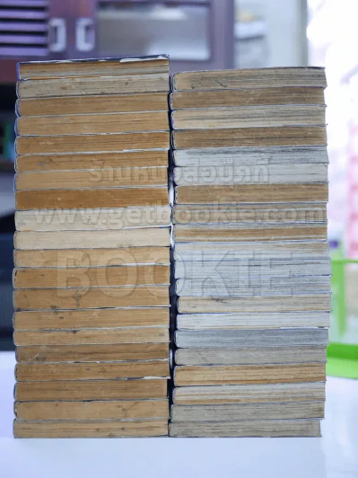 3x3 eyes 40 เล่มจบ รูปที่ 6