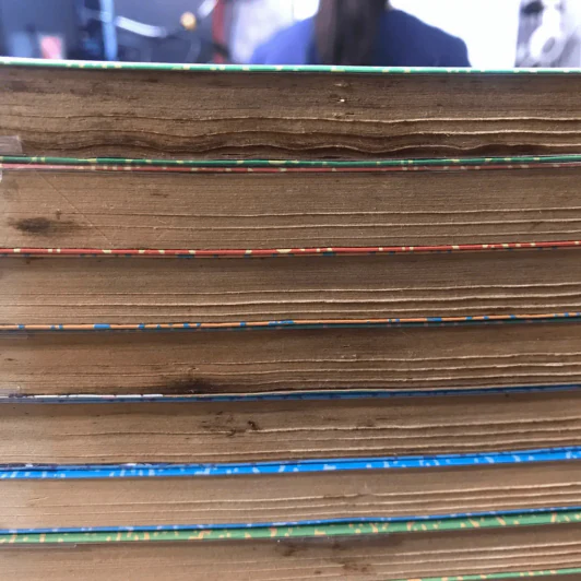 อินุยาฉะ เทพอสูรจิ้งจอกเงิน 56 เล่มจบ ไม่ครบชุด (ขาดเล่ม 27,30,42-56) รูปที่ 10