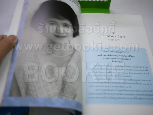 สว่างฟ้าดินเดียว รูปที่ 3