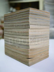 พลิกฟ้าผ่ายุทธจักร ภาคทลายราชันย์ 18 เล่มจบ รูปที่ 3