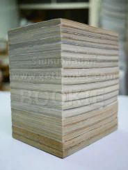 พลิกฟ้าผ่ายุทธจักร ภาคทลายราชันย์ 18 เล่มจบ รูปที่ 4