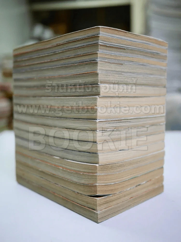 พลิกฟ้าผ่ายุทธจักร ภาคทลายราชันย์ 18 เล่มจบ รูปที่ 3