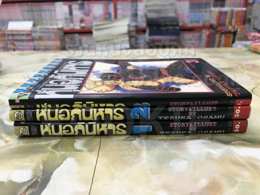 หุ่นอภินิหาร 3 เล่มจบ (Tezuka Osamu) รูปที่ 2