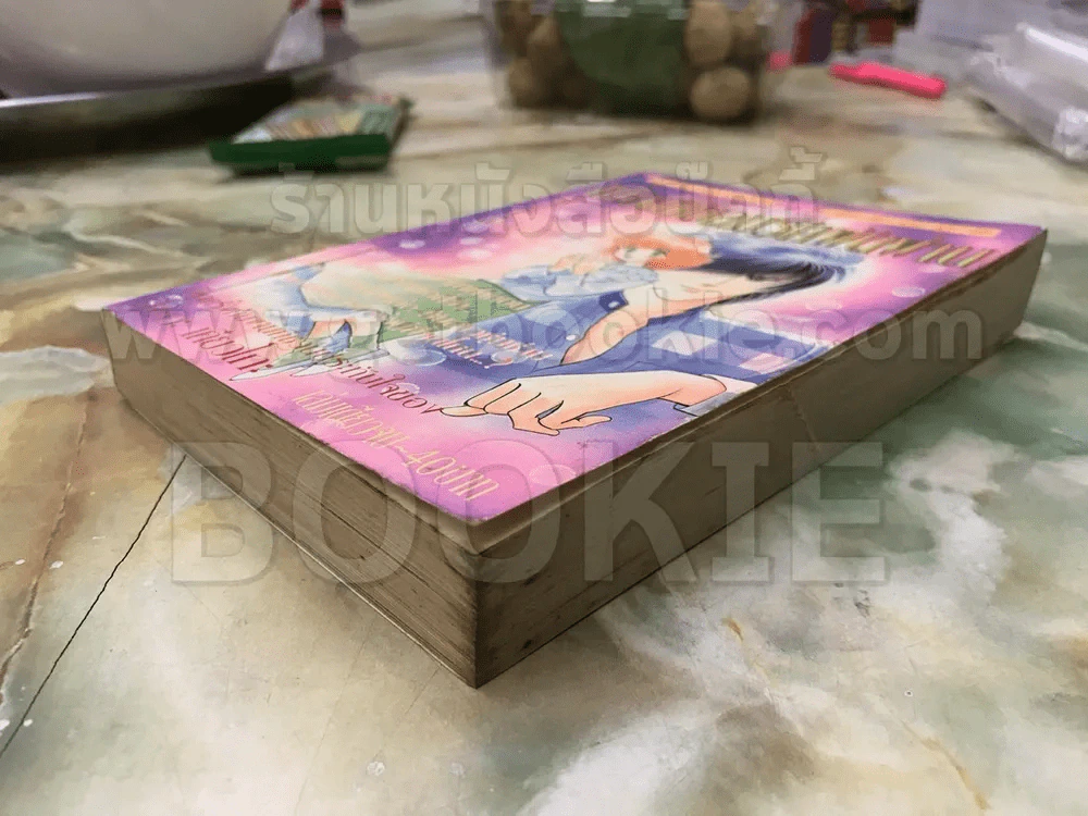 เมื่อสายลมรักพัดผ่าน (หายาก) - ผู้วาดจอมคนแดนฝัน รูปที่ 3