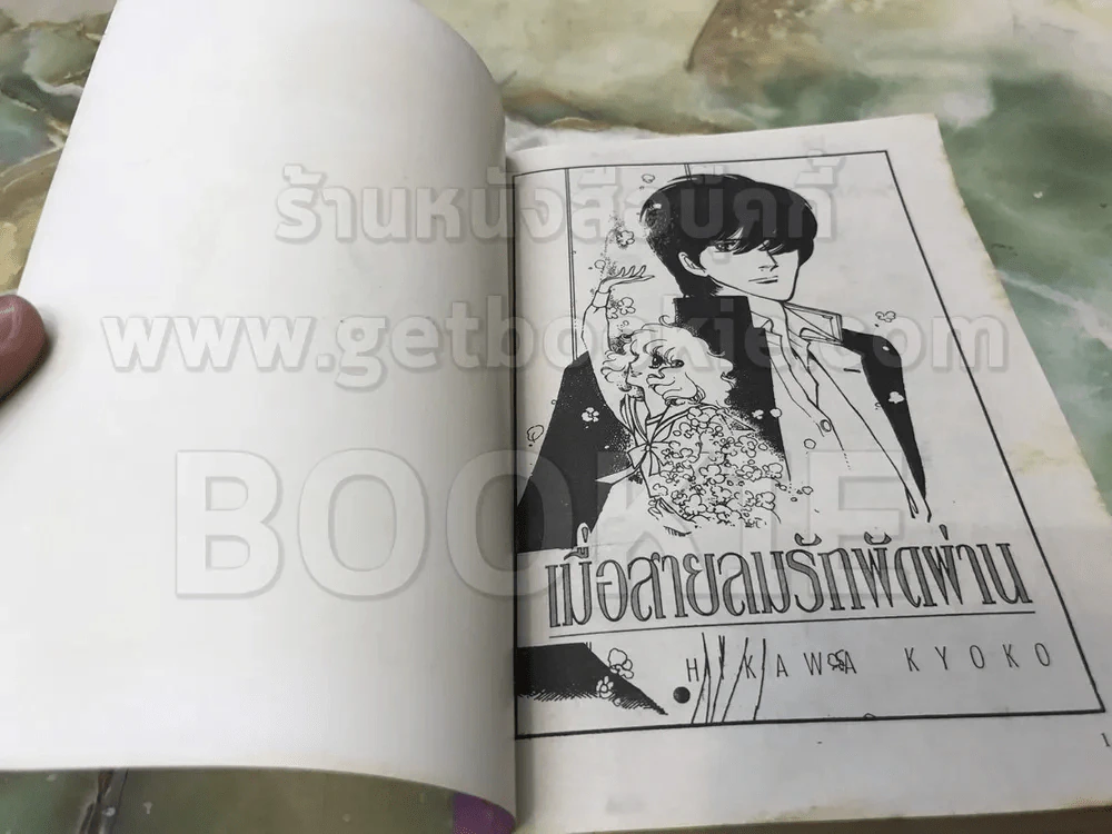 เมื่อสายลมรักพัดผ่าน (หายาก) - ผู้วาดจอมคนแดนฝัน รูปที่ 5