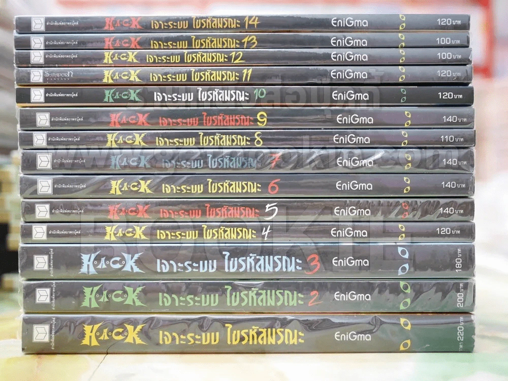 HACK เจาะระบบ ไขรหัสมรณะ เล่ม 1-14 รูปที่ 2