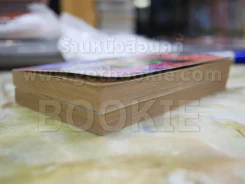 ล่าข้ามมิติ 2 เล่มจบ รูปที่ 4