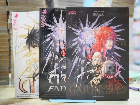 Garin Fan Book Bright and Black BOXSET รูปที่ 1