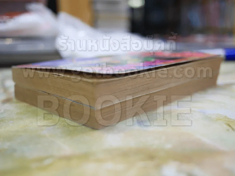 ล่าข้ามมิติ 2 เล่มจบ รูปที่ 4