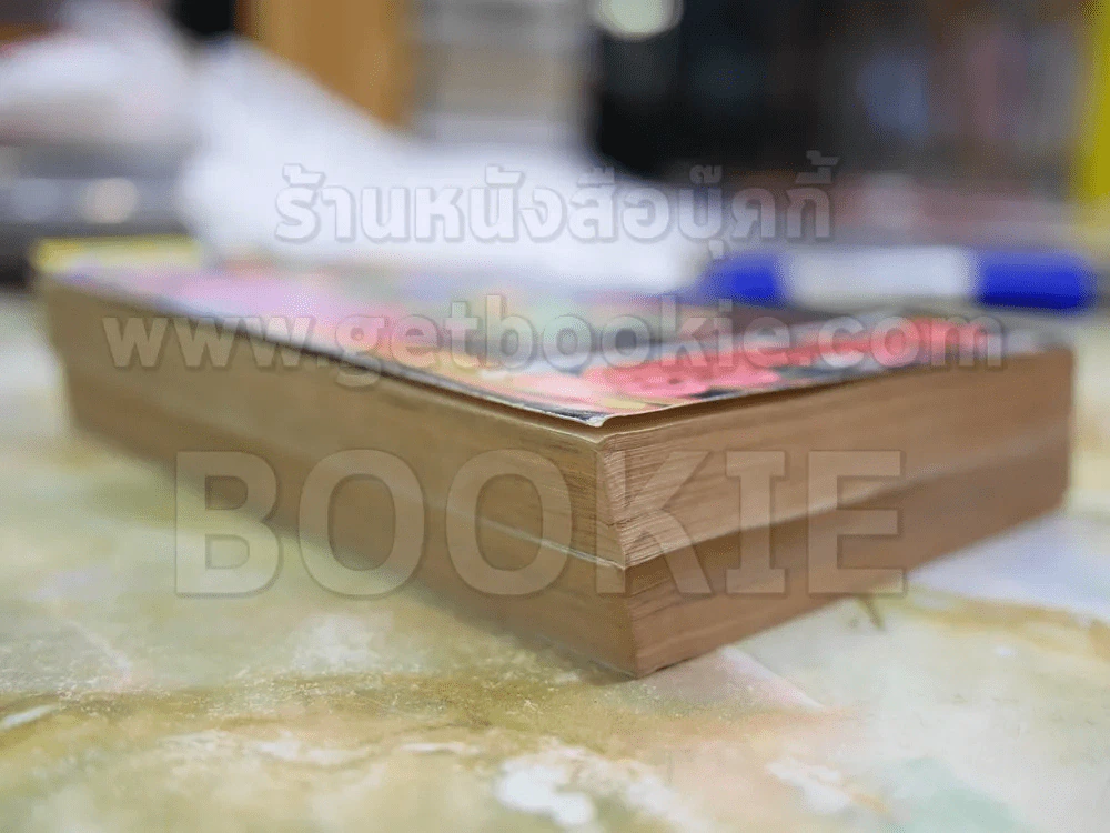 ล่าข้ามมิติ 2 เล่มจบ รูปที่ 3