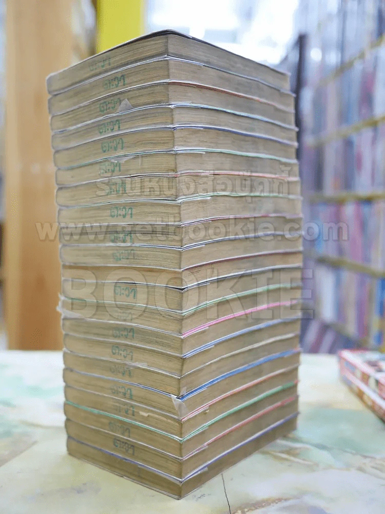 Dragon Quest ภาคสัญลักษณ์ผู้กล้าโรโตะ 21 เล่มจบ รูปที่ 4
