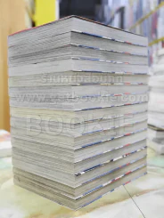 ไซโคเมทเรอร์ ภาค 2 เล่ม 1-15 รูปที่ 4