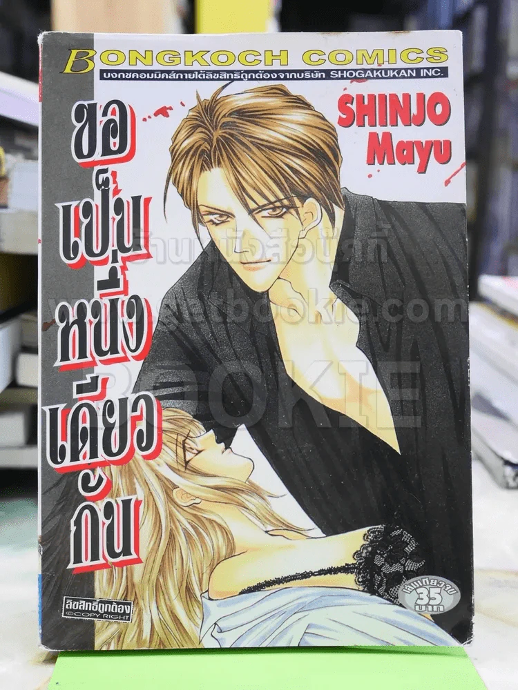 ขอเป็นหนึ่งเดียวกัน - Shinjo Mayu รูปที่ 1