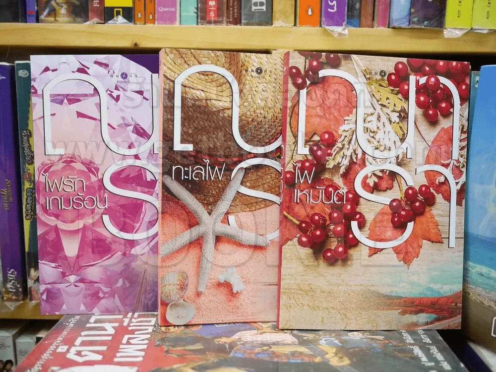 ซีรีส์รักคือไฟ 3 เล่มจบ BOXSET - ณารา รูปที่ 4