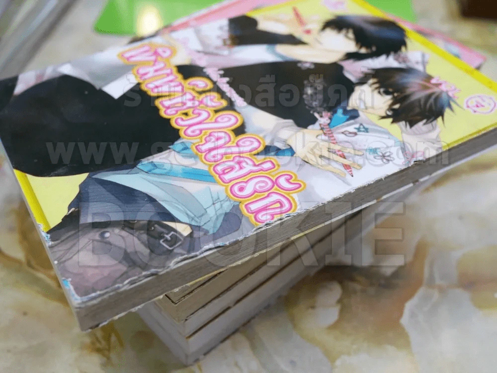 พิมพ์หัวใจใส่รัก เล่ม 1-11 รูปที่ 5