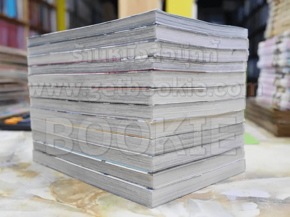 รักนิดนิดคิดเท่าไหร่ เล่ม 1-12 รูปที่ 3