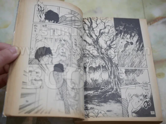 เจ้าสาวซาตาน 3 เล่มจบ รูปที่ 7