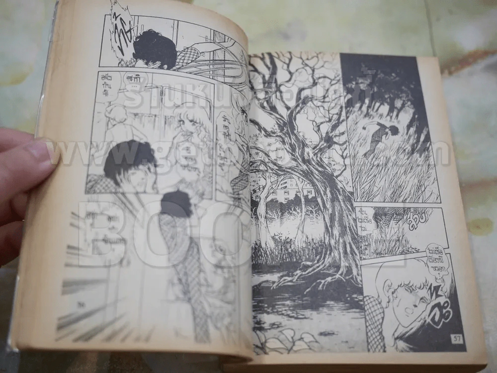 เจ้าสาวซาตาน 3 เล่มจบ รูปที่ 7