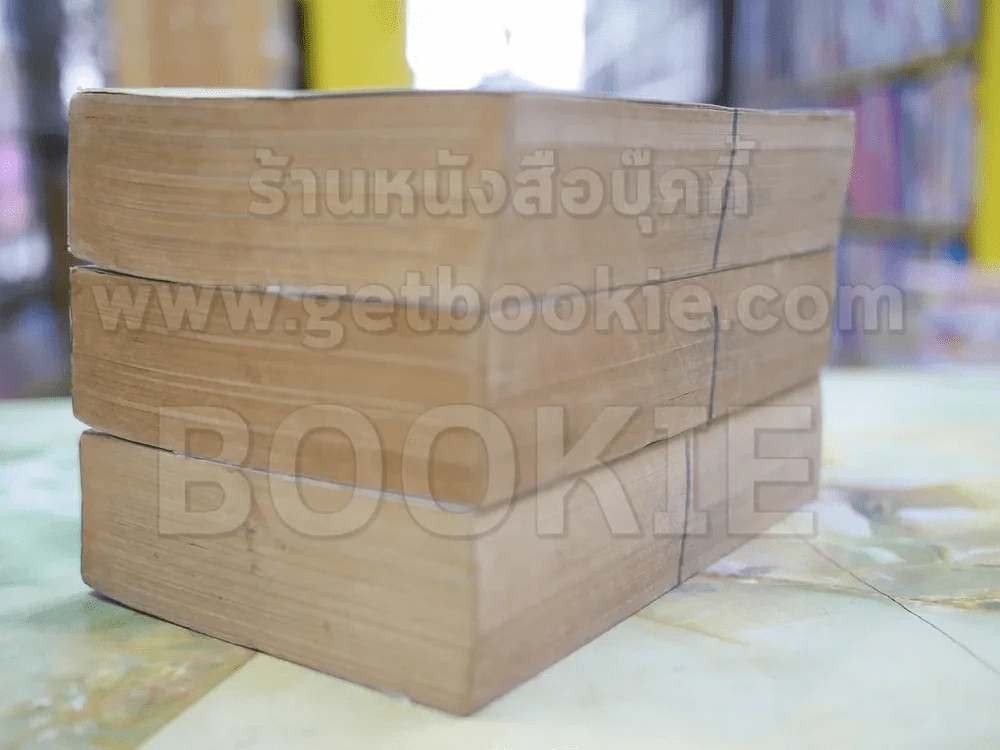เจ้าสาวซาตาน 3 เล่มจบ รูปที่ 4