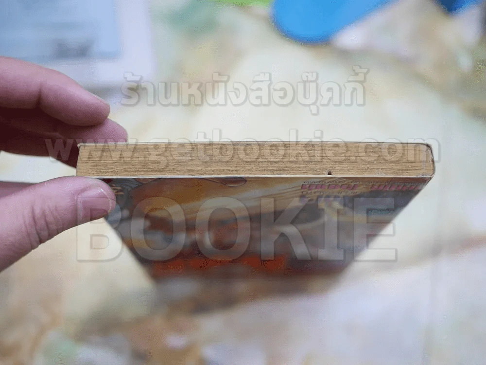 จอมโหดกระทะเหล็ก! 27 เล่มจบ รูปที่ 5
