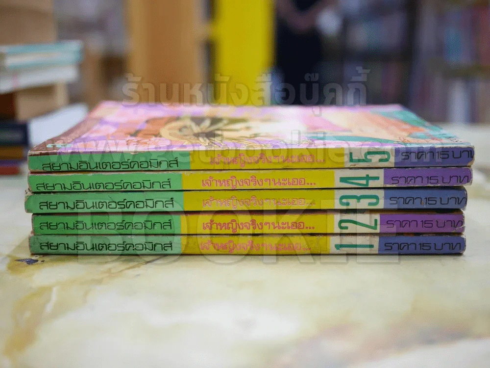 เจ้าหญิงจริงๆนะเออ 5 เล่มจบ รูปที่ 2