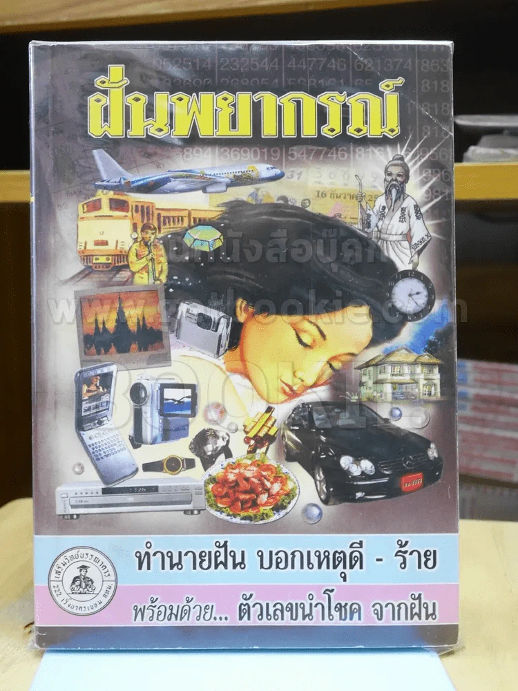 ฝันพยากรณ์ รูปที่ 1