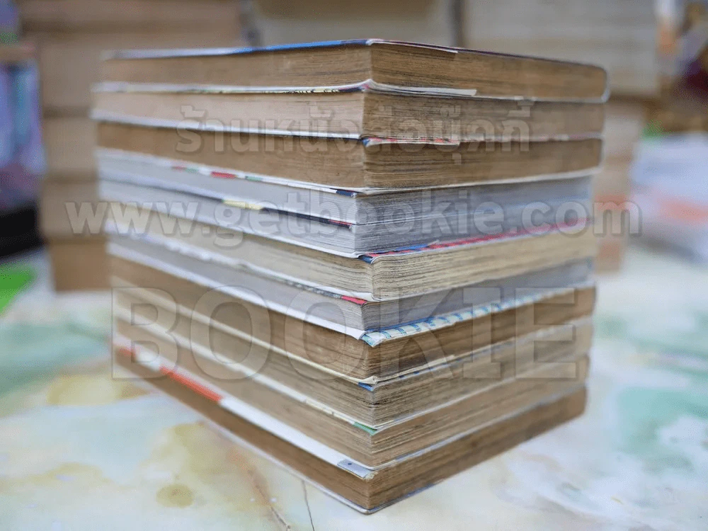 โซ้ยแหลก 11 เล่มจบ รูปที่ 3