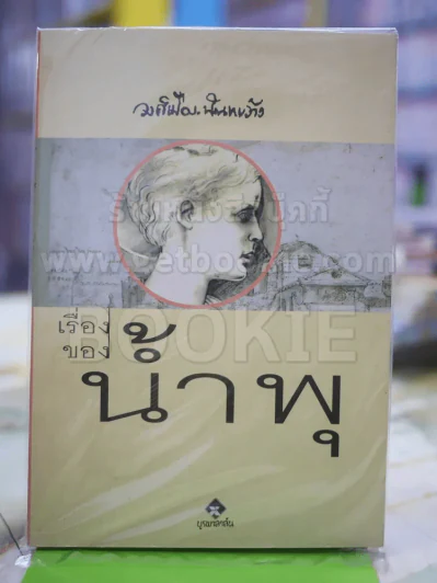 เรื่องของน้ำพุ รูปที่ 1