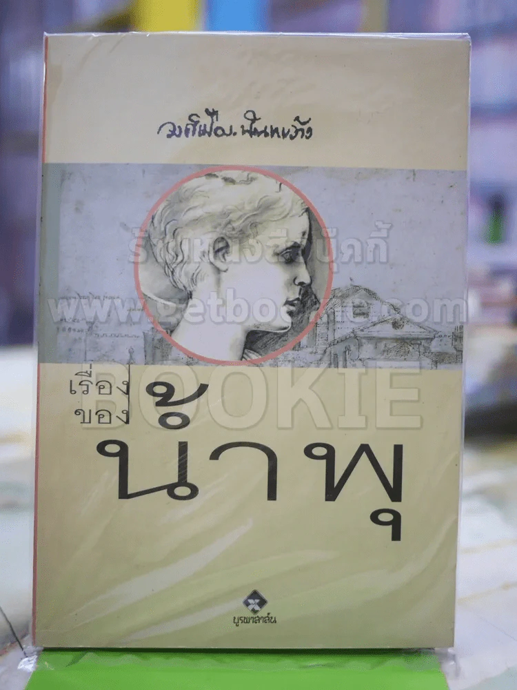 เรื่องของน้ำพุ รูปที่ 1