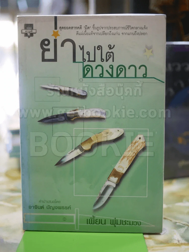 ย่ำไปใต้ดวงดาว เพี้ยน พุ่มชะมวง รูปที่ 1