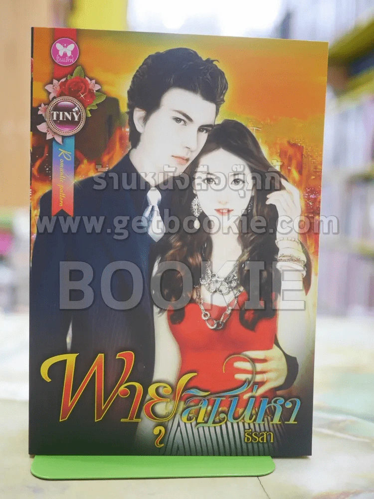พายุสิเน่หา โดย ธีรสา รูปที่ 1