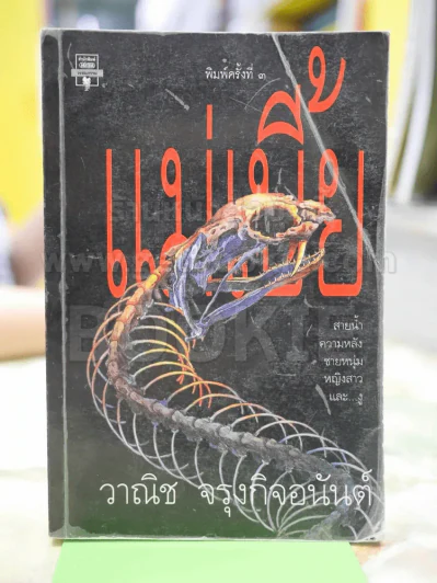แม่เบี้ย โดย วาณิช จรุงกิจอนันต์ รูปที่ 1