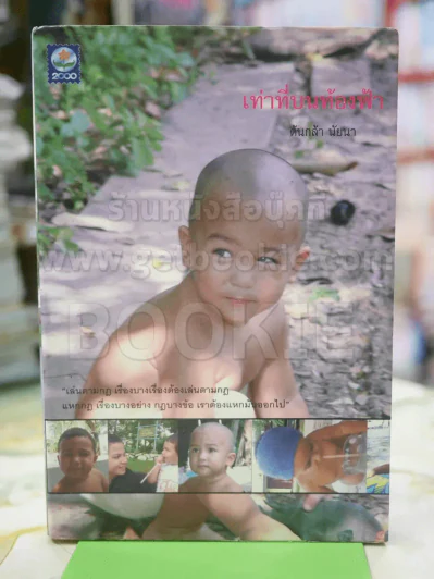 เท่าที่บนท้องฟ้า โดย ต้นกล้า นัยนา รูปที่ 1