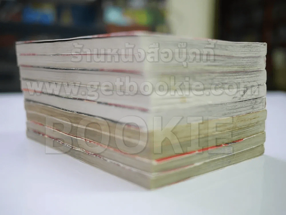 มาเฟียที่รัก 9 เล่มจบ รูปที่ 3