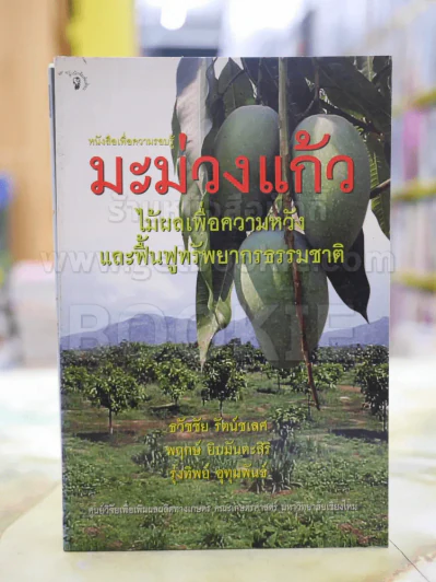 มะม่วงแก้ว รูปที่ 1