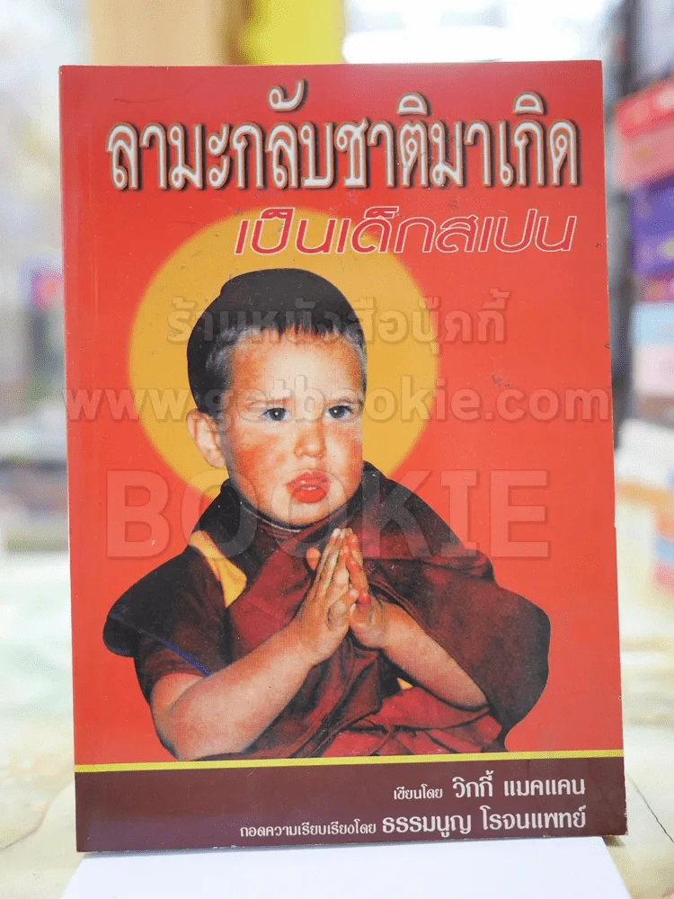 ลามะกลับชาติมาเกิด เป็นเด็กสเปน รูปที่ 1
