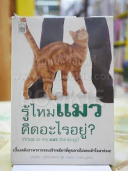 รู้ไหมแมวคิดอะไรอยู่? รูปที่ 1