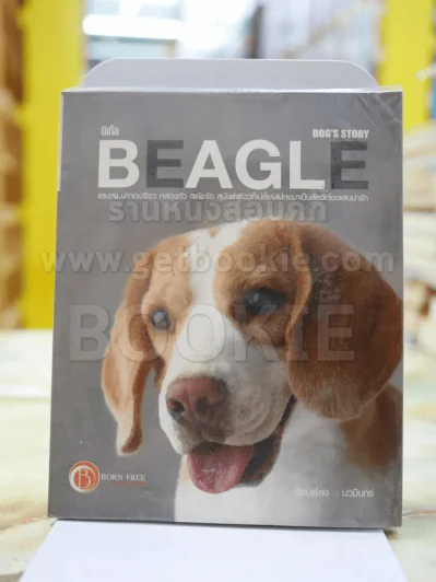 บีเกิ้ล BEADLE รูปที่ 1