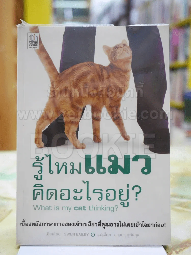 รู้ไหมแมวคิดอะไรอยู่? รูปที่ 1