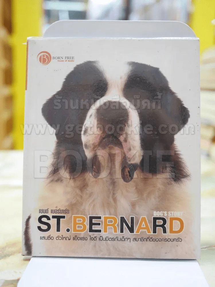 เซนต์ เบอร์นาร์ด ST.BERNARD รูปที่ 1