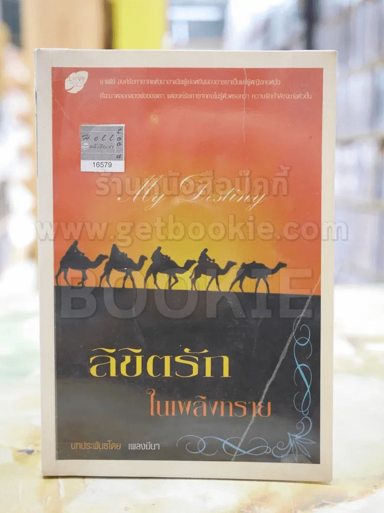 ลิขิตรักในเพลิงทราย โดย เพลงมีนา รูปที่ 1