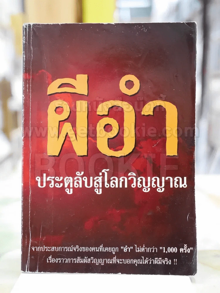 ผีอำ ประตูลับสู่โลกวิญญาณ รูปที่ 1