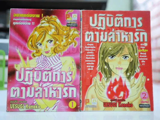 ปฏิบัติการตามล่าหารัก 2 เล่มจบ รูปที่ 1