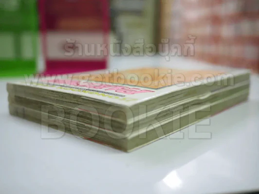 Partner 3 เล่มจบ รูปที่ 4