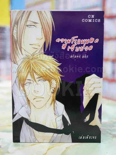 ความโรแมนติคที่เจ็บปวด รูปที่ 1
