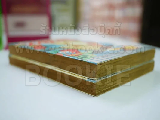 บุปผาทะเลทราย 2 เล่มจบ รูปที่ 3