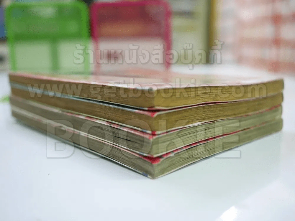 Magic Chronicle 4 เล่มจบ รูปที่ 3