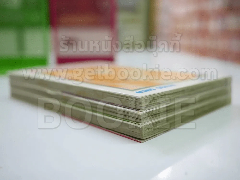 Partner 3 เล่มจบ รูปที่ 3
