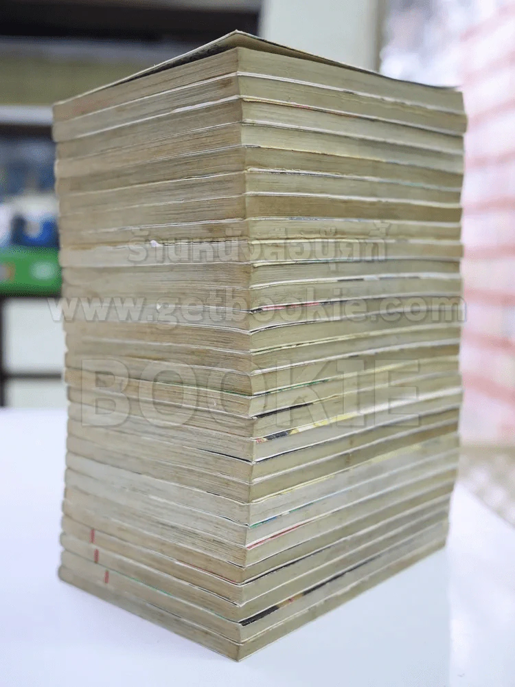 ตะวันรักที่ปลายฟ้า 28 เล่มจบ รูปที่ 4