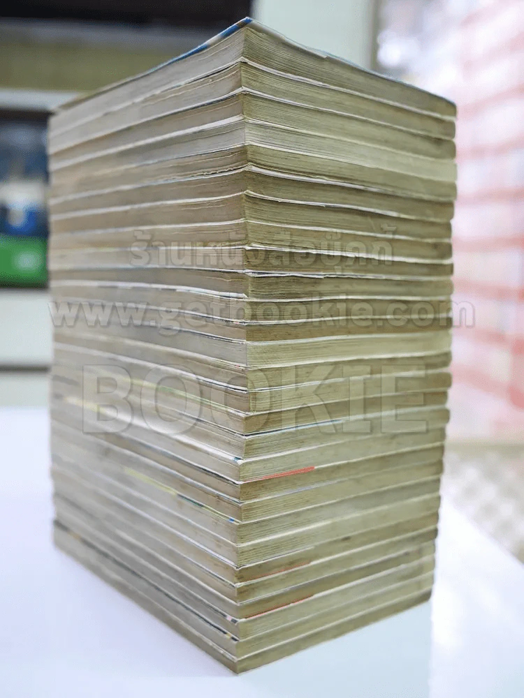 ตะวันรักที่ปลายฟ้า 28 เล่มจบ รูปที่ 3